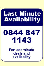 Last minute holiday availability